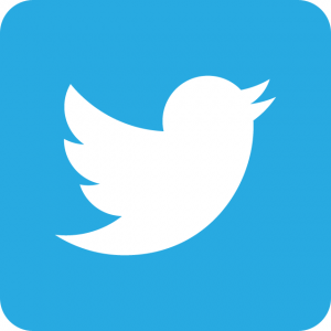 logo twitter